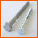 Coach Screws