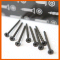 Dry Wall Screws